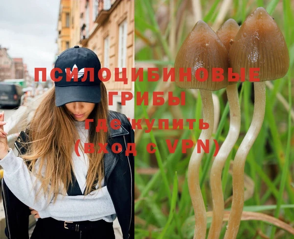 mix Алексеевка