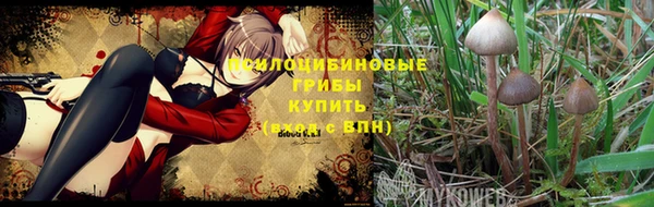 трава Покровск