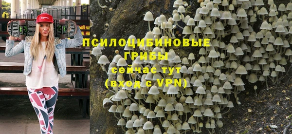 бошки Абаза