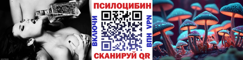 дарнет шоп  Оренбург  блэк спрут вход  Псилоцибиновые грибы Psilocybine cubensis 